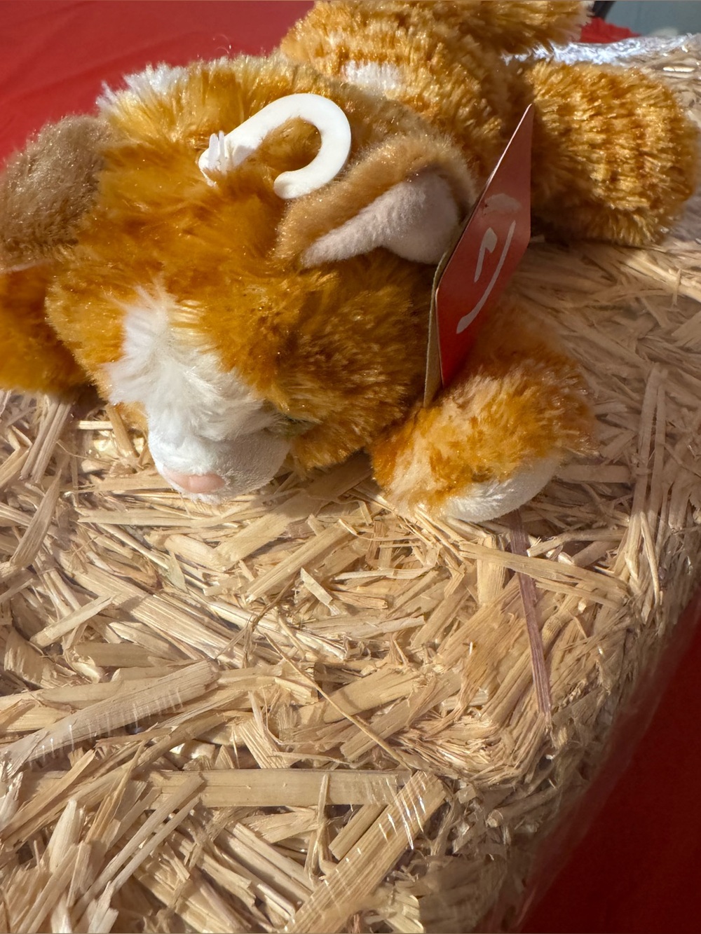 Aurora World  Molly item -#31277